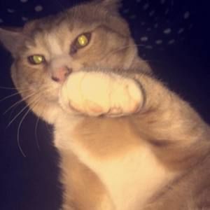 Meet your Posher, Guadalupe